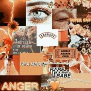 Meet your Posher, Ingrid